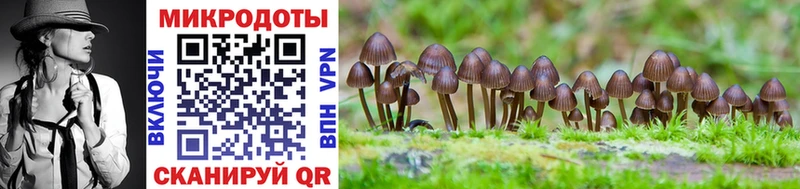 Псилоцибиновые грибы Psilocybe  Юхнов 